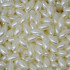 Arrozinho Perolado ABS, 05mm x 10mm, Creme