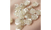 Flor ABS, 20mm, Creme