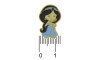 Piercing de Rebite, Princesa, Jasmin