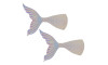 Aplique, Cauda de Sereia, Resina, Transparente Furtacor