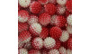 Pérola Craquelada Amora, 12mm, Mesclado Vermelho/Branco