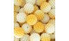 Pérola Craquelada Amora, 14mm, Mesclado Branco/Dourado