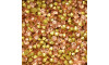 Pedra de Strass, SS20, Light Peach
