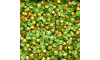 Pedra de Strass, SS20, Peridot