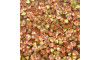 Pedra de Strass, SS24, Light Peach