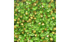 Pedra de Strass, SS24, Peridot