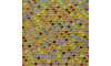 Manta de Strass, Ouro, Colorido