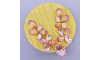 Cabedal Mel, Banhado, Sereia, Rosa Claro