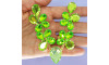 Cabedal Mel, Banhado, Verde Claro