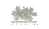 Cabedal Miriam, Três Flores com Strass, Tecido, Branco/Furtacor