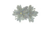 Cabedal Mavie, Duas Flores com Strass, Tecido, Branco Furtacor