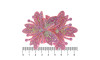 Cabedal Mavie, Duas Flores com Strass, Tecido, Rosa Claro Furtacor