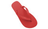 Chinelo Basic, Sr.Chinelo, 100% Borracha, Vermelho Coral