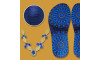Lonita Mandala e Cabedal Pietra Azul 
