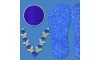 Lonita Glitter Azul e Cabedal Victória
