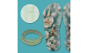 Lonita Conchas e Tubo de Strass Cristal