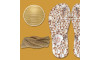 Lonita Conchas e Tubo de Strass Rose Gold