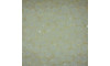 Cristal de Vidro, Rondel, 06mm, Branco Transparente