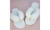 Kit Chinelufa Tiras Encapadas, Branco