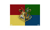 Estampa Sublimada, Harry Potter Hogwarts, Vermelho/Verde/ Amarelo/Azul