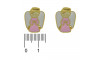Piercing de Rebite, Anjo, Rosa