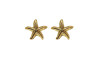 Piercing de Rebite, Banhado, Estrela do Mar
