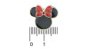 Piercing de Rebite, Minnie