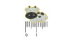 Piercing de Rebite, Vaquinha, Preto