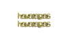 Piercing de Rebite, Havaianas, Ouro