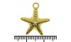 Pingente, Estrela do Mar, Ouro