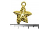 Pingente, Estrela do Mar, Ouro