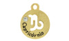 Pingente, Signo Capricórnio, Ouro