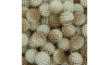 Pérola Craquelada Amora, 12mm, Mesclado Marrom/Branco