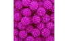 Pérola Craquelada Amora, 12mm, Rosa Pink