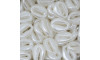 Búzios ABS, 17mm x 13mm, Branco