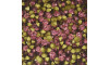Pedra de Strass, SS24, Rosa