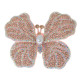 Anterior