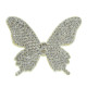 Anterior