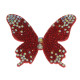 Anterior