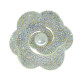Anterior