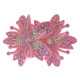 Anterior