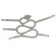 Anterior
