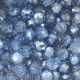 Anterior
