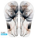 Anterior