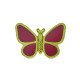 Anterior