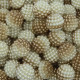 Anterior